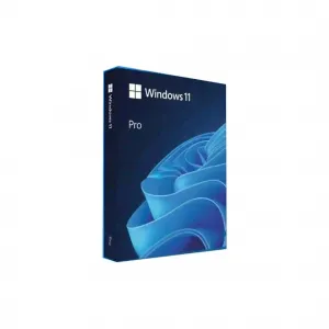 MICROSOFT WINDOWS 11 PRO LICENSE